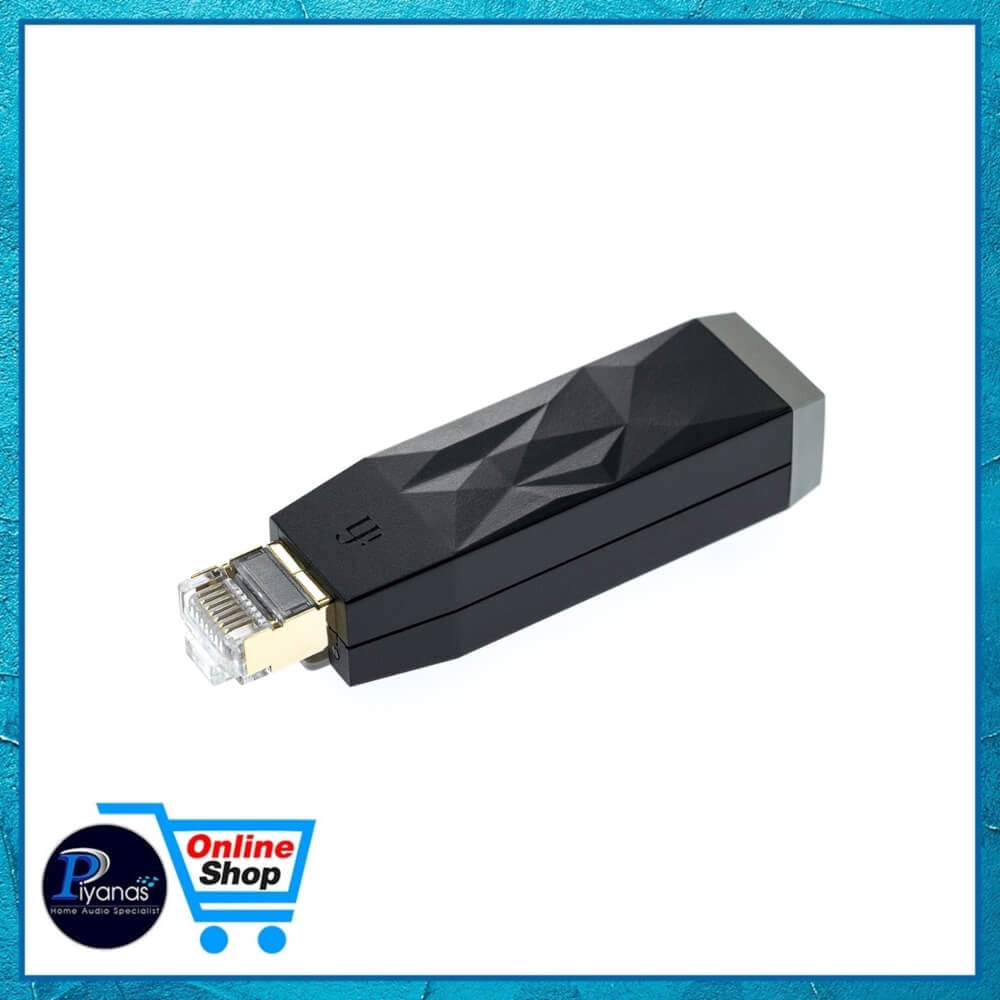 อุปกรณ์เชื่อมต่อสายแลน IFI AUDIO : LAN ISILENCER